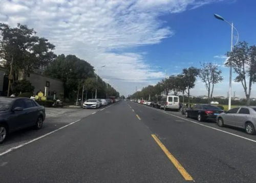 2025年為民辦實(shí)事項(xiàng)目 農(nóng)村公路提檔升級改造工程全面竣工，鄉(xiāng)村道路設(shè)施實(shí)現(xiàn)歷史性跨越