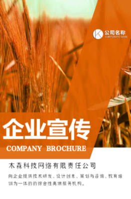 木森網絡 以城市智慧基因，驅動數字創新未來